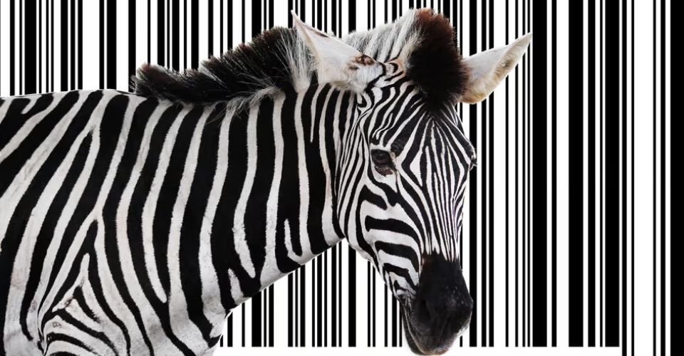 Barcode Veteran Zebra Technologies Sprints Ahead in AI Innovation